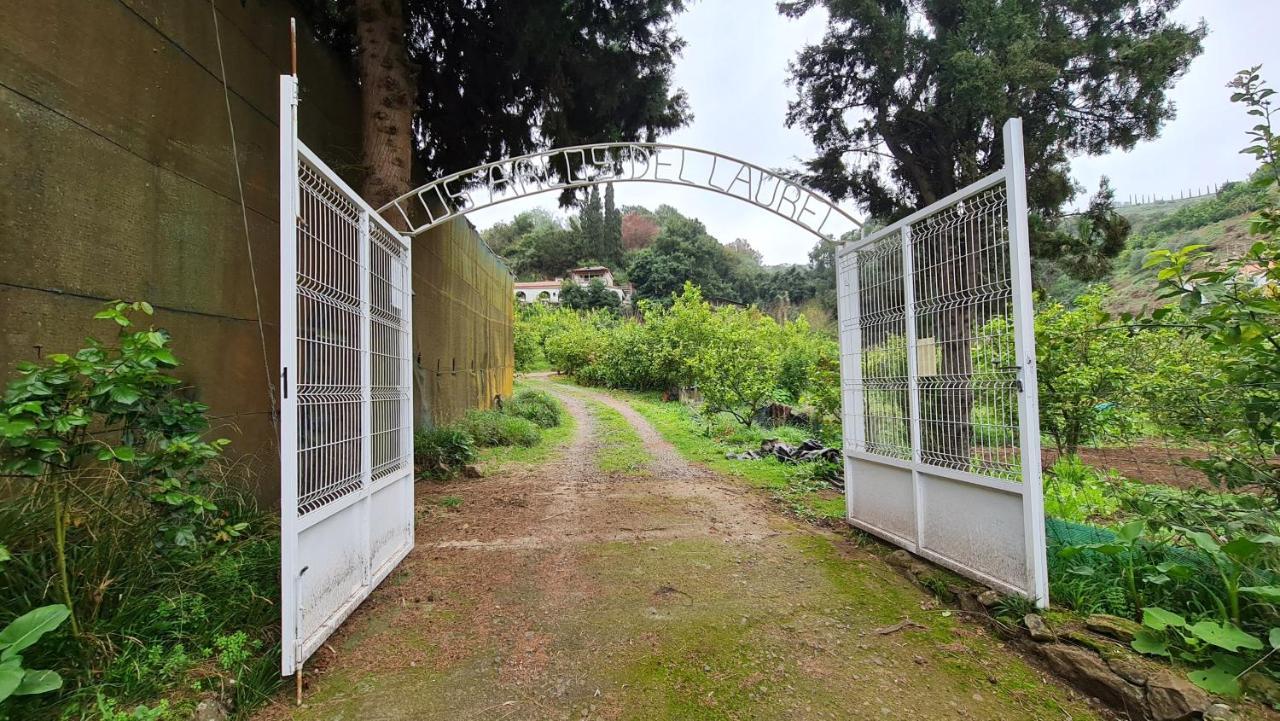 Finca Los Arcos Del Laurel Moya  Luaran gambar