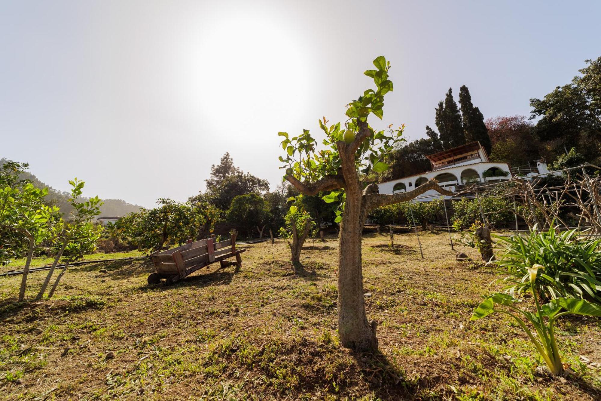 Finca Los Arcos Del Laurel Moya  Luaran gambar