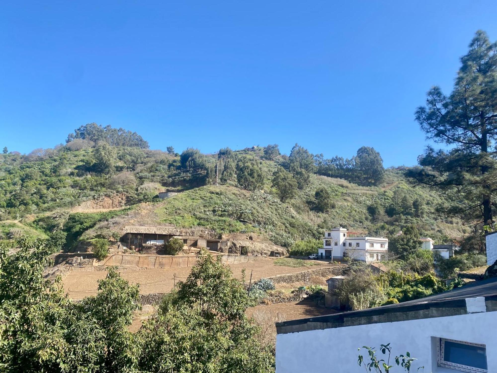 Finca Los Arcos Del Laurel Moya  Luaran gambar