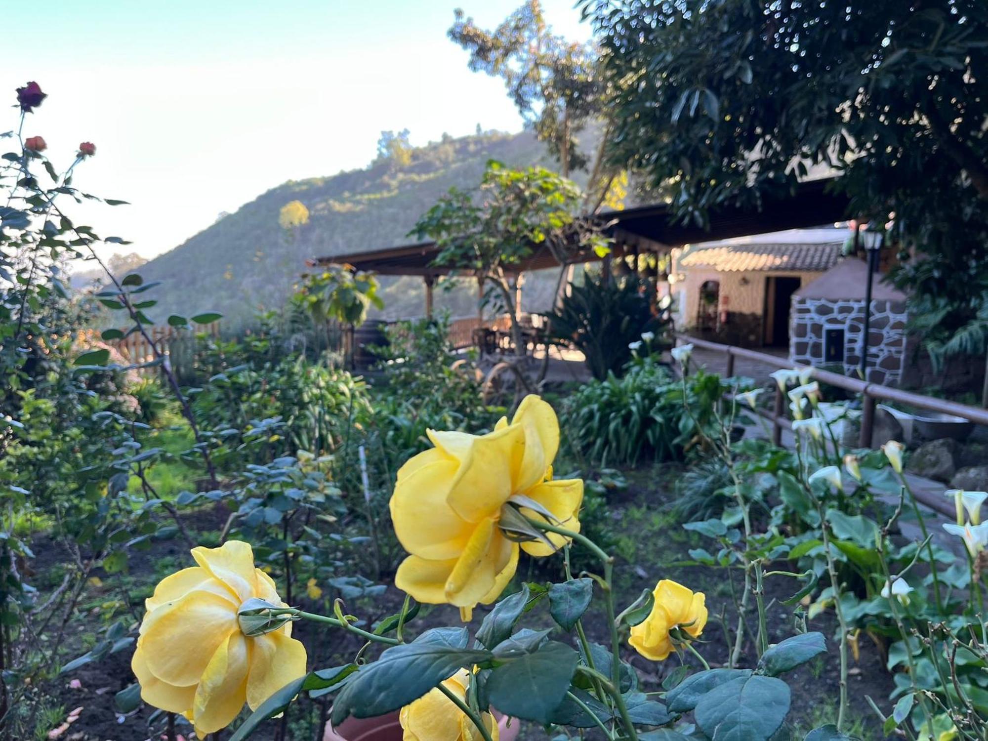 Finca Los Arcos Del Laurel Moya  Luaran gambar