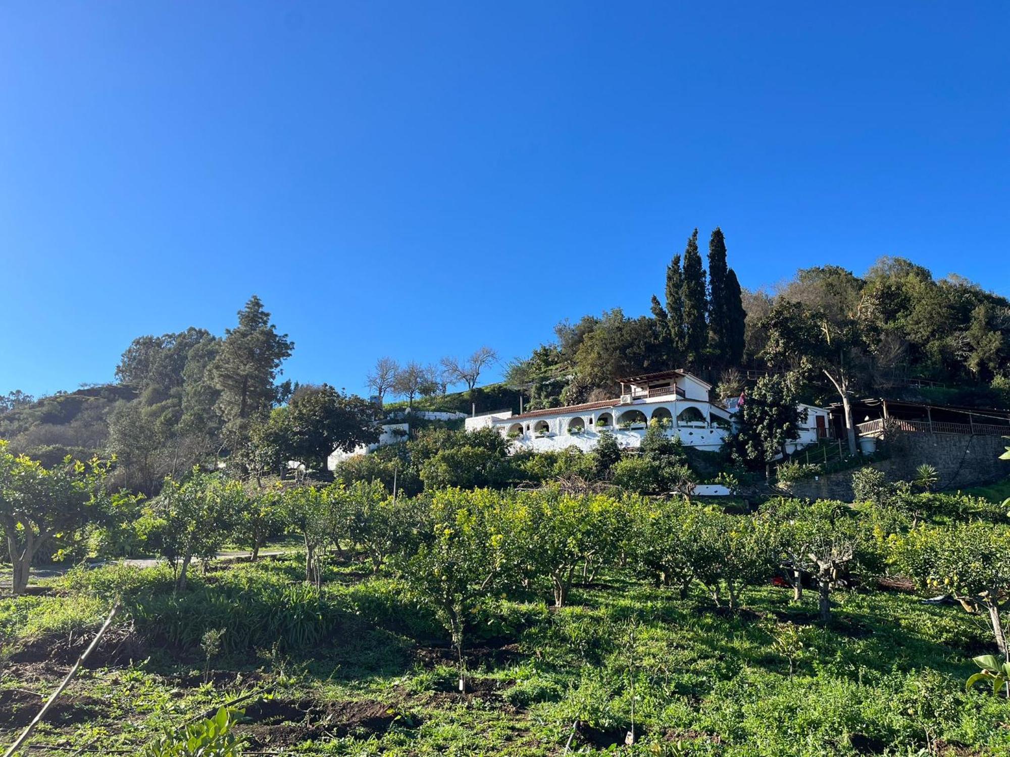 Finca Los Arcos Del Laurel Moya  Luaran gambar