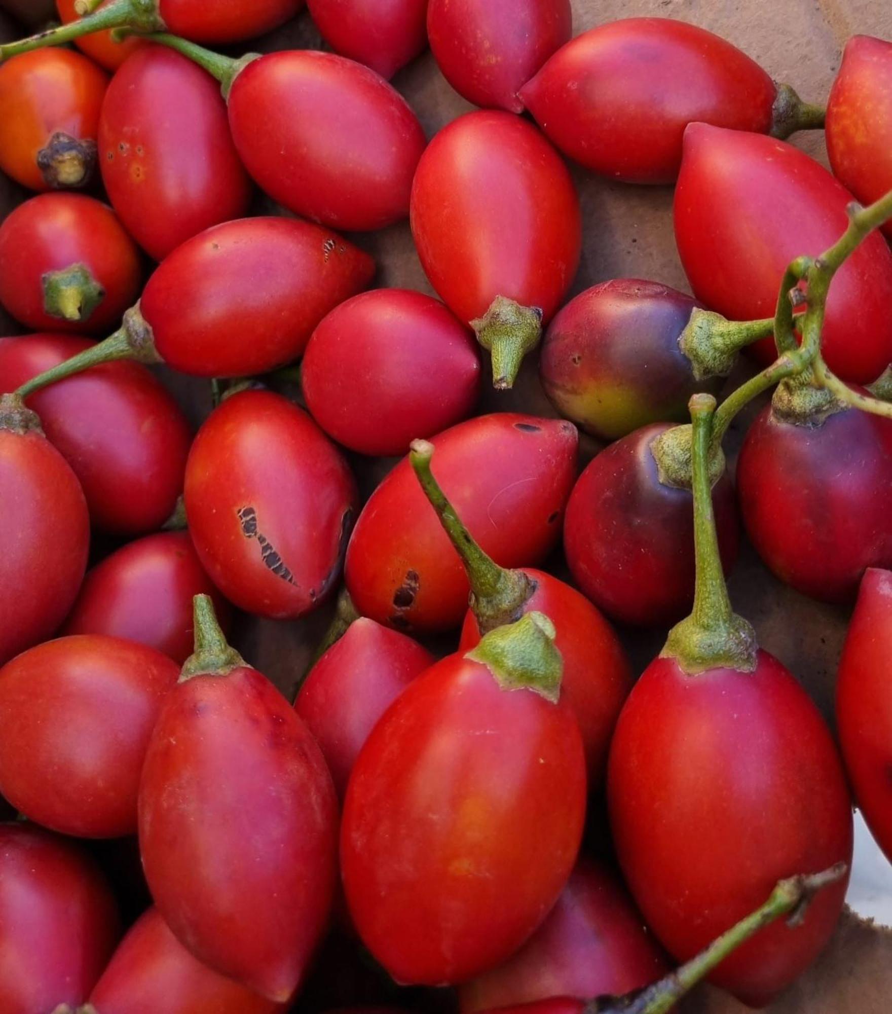 Finca Los Arcos Del Laurel Moya  Luaran gambar