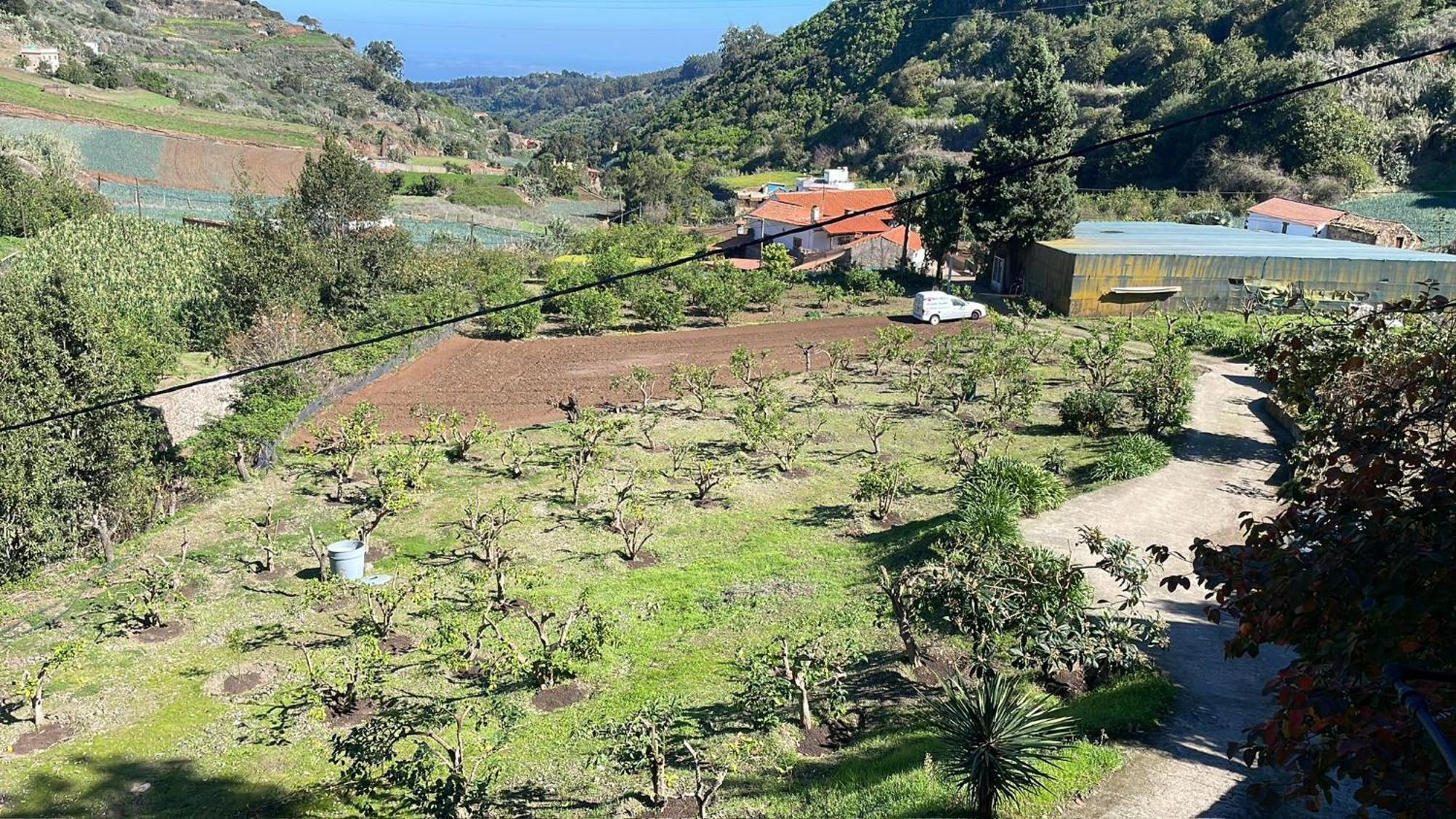 Finca Los Arcos Del Laurel Moya  Luaran gambar