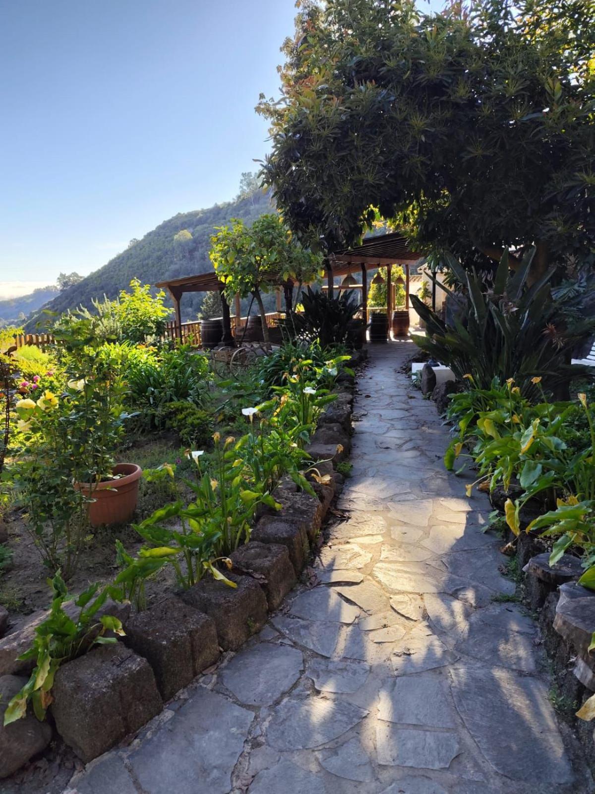 Finca Los Arcos Del Laurel Moya  Luaran gambar